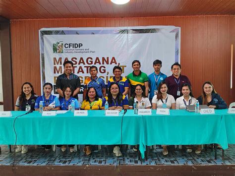 ched ro xi scholarship|CHED RO XI StuFAPs.